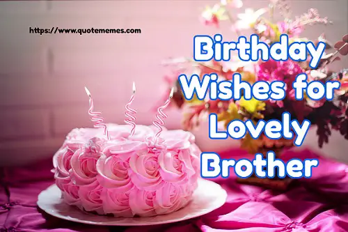 Brother wish all you artinya my best happy birthday the 200+ Happiest