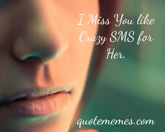 I Miss You Like Crazy Sms For Her Quote Memes